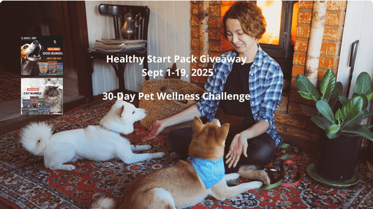 September Pet Wellness Challenge: Build Habits with Bundles and Our Monthly Giveaway