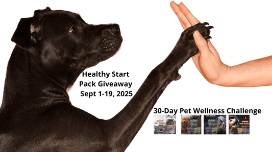 Healthy Start Pack: How Our Bundles and Giveaway Will Kickstart Better Pet Routines