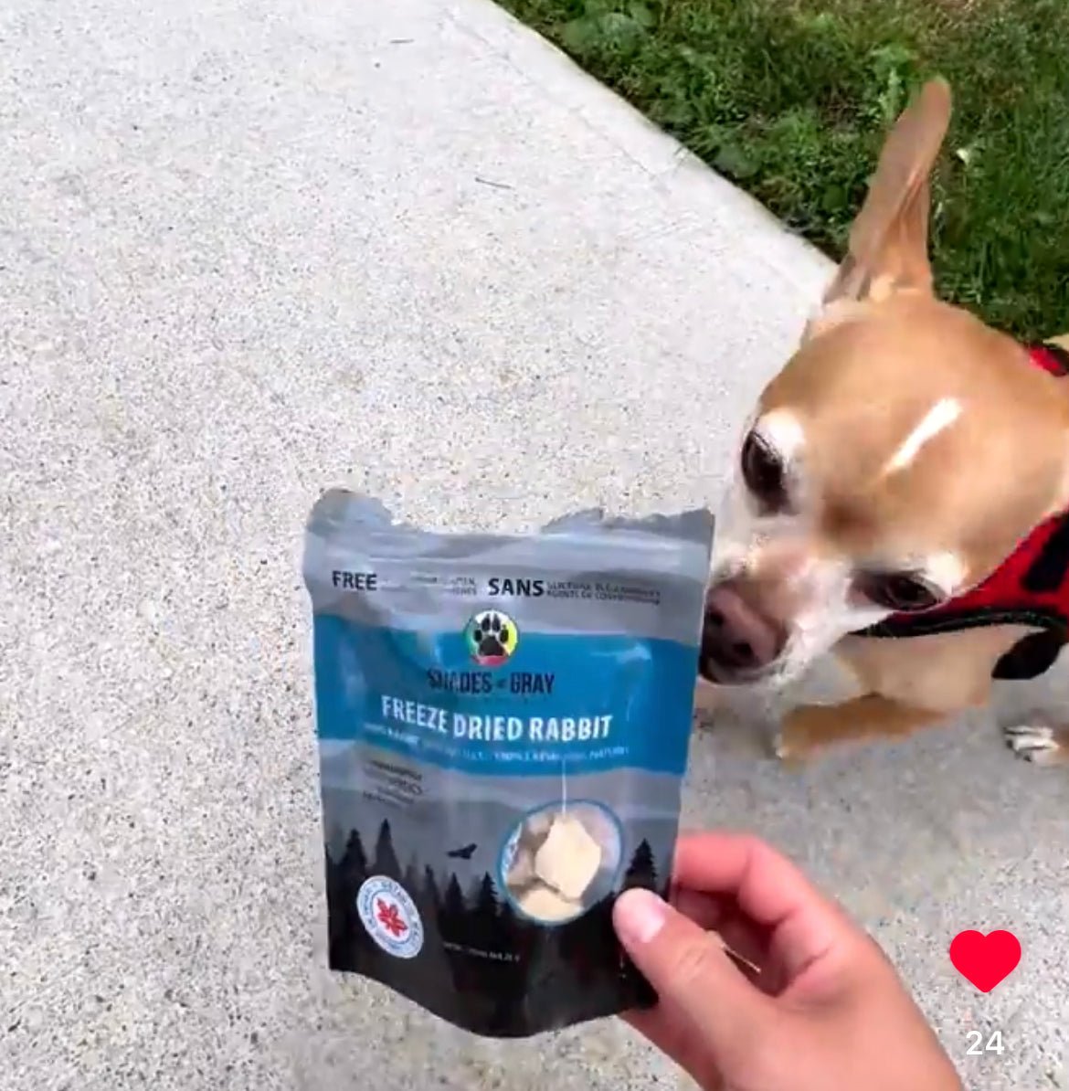 Freeze Dried Rabbit Snacks