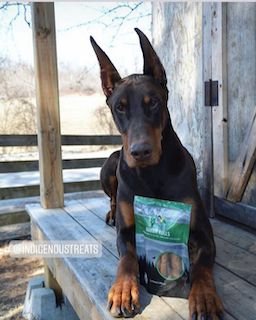 Dog Treats made with organic all natural 100% Rabbit, for your cats and dogs. Free of Glycerine, Gluten, Grain & Preservatives.
