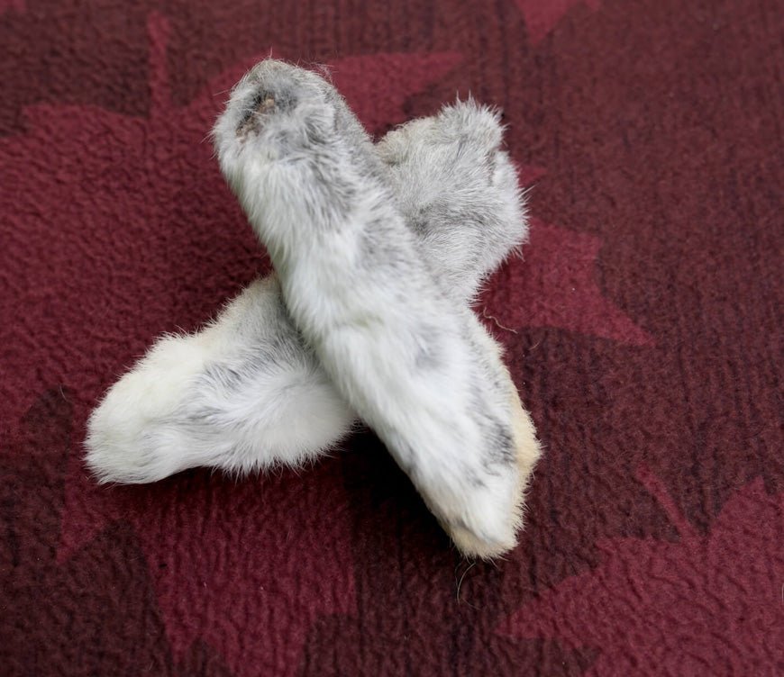 Pet Treats - Dehydrated Rabbit Feet