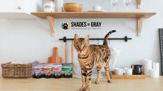 Single-Ingredient Cat Treats: What Your Cat Actually Wants (and Needs)