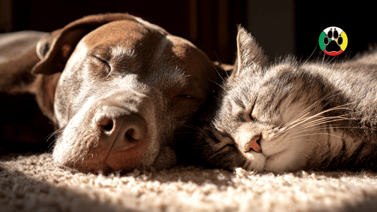 Dog and cat sleeping side by side on a rug, with the Shades of Gray logo in the corner.