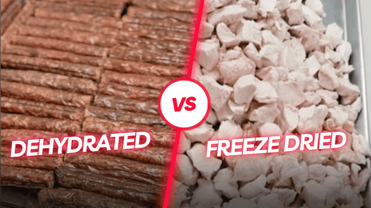 Side-by-side comparison of dehydrated dog treats and freeze-dried dog treats, showing dehydrated meat rolls on the left and freeze-dried meat chunks on the right