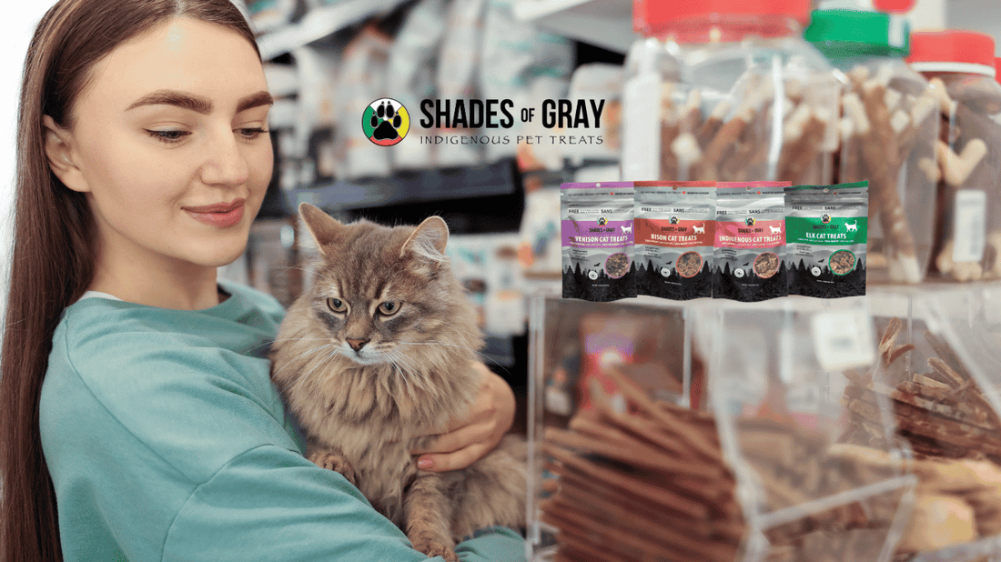 How to Read a Pet Treat Label (What the Ingredients Really Mean)