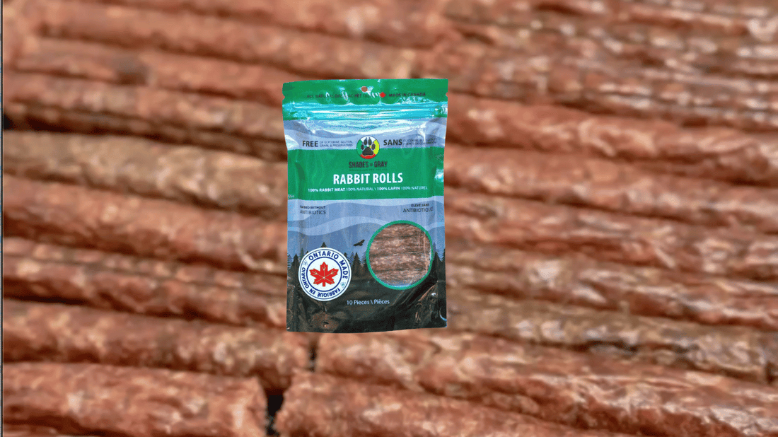 The Superiority of Dehydrated Dog Treats in Canada: A Comprehensive Guide