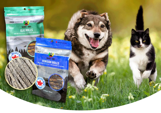 Discover the Superior Benefits of Elk and Venison for Your Pets