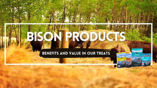 Discover the Unique Benefits of Bison Products from Shades of Gray Indigenous Pet Treats