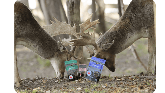Why Venison is the Ultimate Superfood for Your Pets: Exploring Single-Ingredient Venison Products