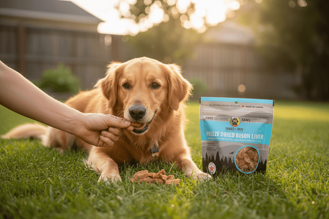 Happy dog with Bison Liver Treats in outdoor setting showing natural single-ingredient pet nutrition.