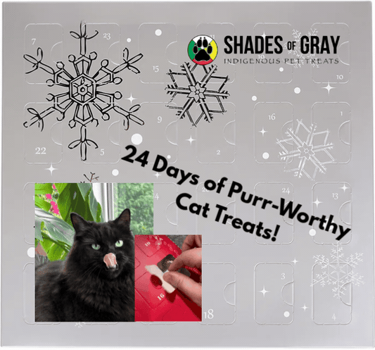 Cat Christmas Advent Calendar