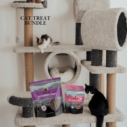 A fluffy calico-style kitten and a black and white cat sit on a beige carpeted cat tree beside the Shades of Gray Cat Treat Bundle: a purple 70g bag of Indigenous Rabbit Strips and three pink bags of Indigenous Rabbit Cat Treats. Single-ingredient rabbit treats for cats, made in Canada.