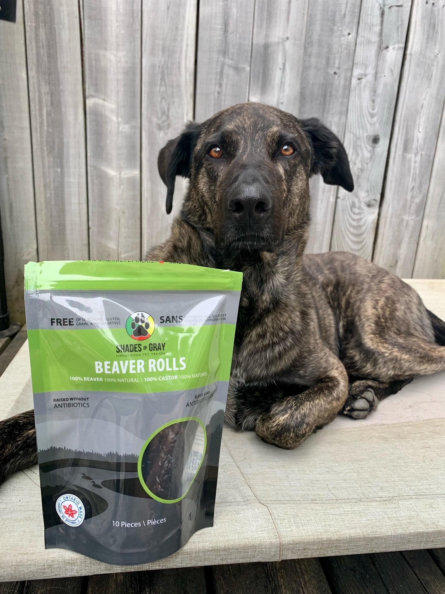 Natural preservatives hotsell for dog treats