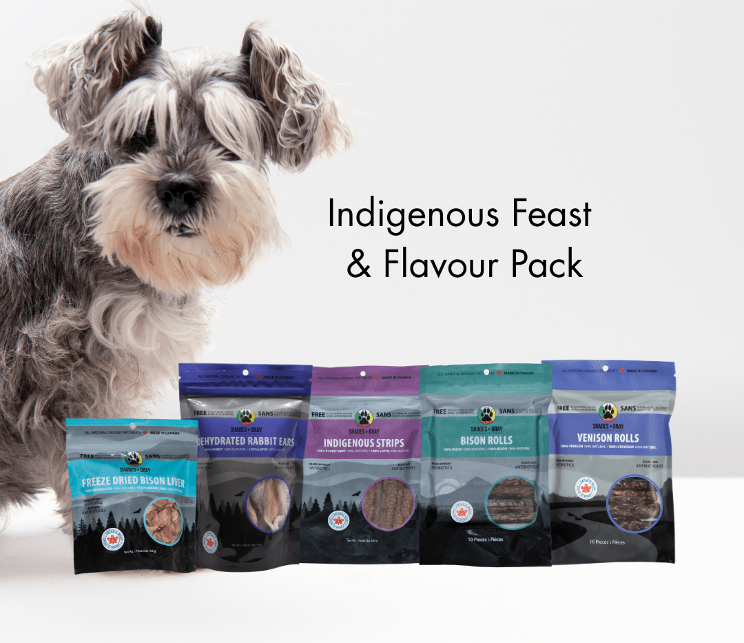 Dog looking at a lineup of Shades of Gray Indigenous Pet Treats on a white background, featuring Indigenous Strips, Bison Rolls, Venison Rolls, Rabbit Ears, and Freeze-Dried Bison Liver from the Indigenous Feast & Flavour Pack.