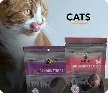 Cat Treat Bundle