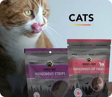 Cat Treat Bundle