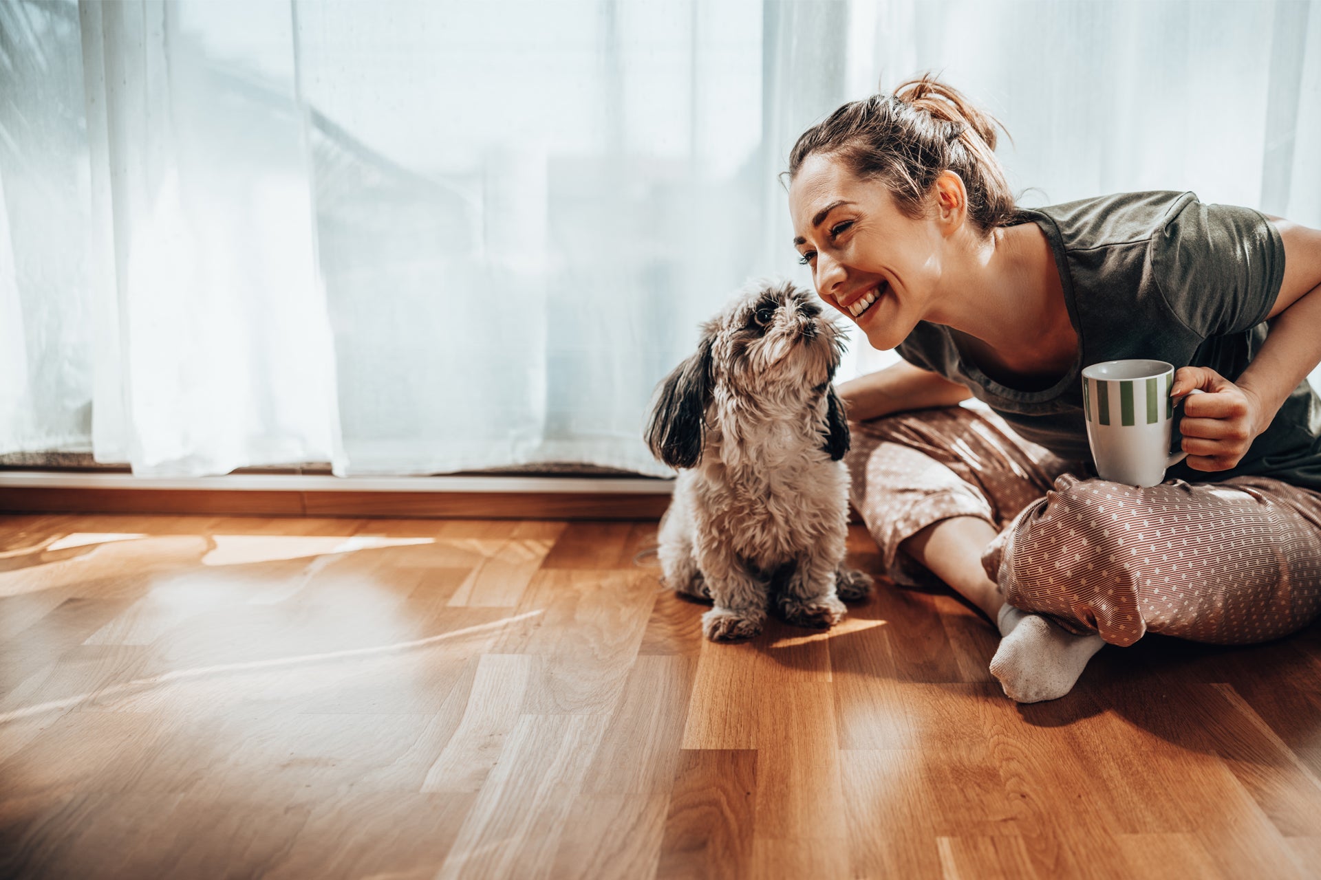 Cute Dog and Owner