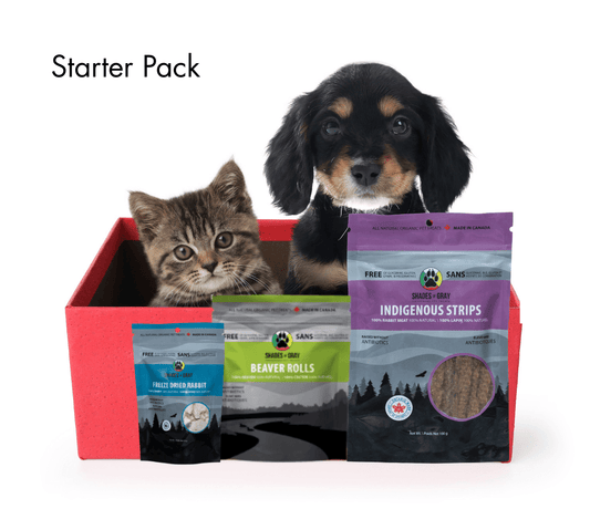 Dog & cat treat starter pack from Shades of Gray featuring beaver rolls, rabbit strips, and freeze-dried rabbit treats for dogs and cats
