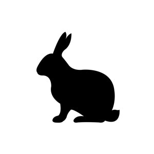 Rabbit Icon