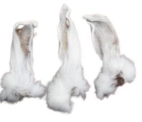 Rabbit Ear Pet Treats made with organic all natural 100% rabbit, for your cats and dogs. Free of Glycerine, Gluten, Grain & Preservatives. Simply Dehydrated.