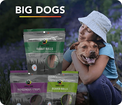 Large Dog Bundle