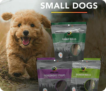 Photo is featuring a Small Dog Bundle with a small dog running towards Canadian meat treats by Shades of Gray Indigenous Pet Treats made for Small Dogs: Rabbit Rolls, Beaver Rolls, Indigenous Rabbit Strips, these are all single-protein treats.