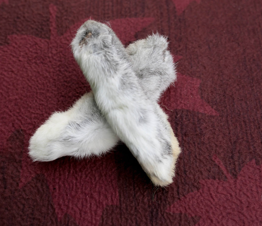 Rabbit Feet Pet Treats made with organic all natural 100% rabbit, for your cats and dogs. Free of Glycerine, Gluten, Grain & Preservatives. Simply Dehydrated.
